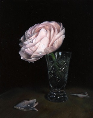 Ginny Page 2013 - Ranunculus no.3 - Oil on Canvas 22x16cm
